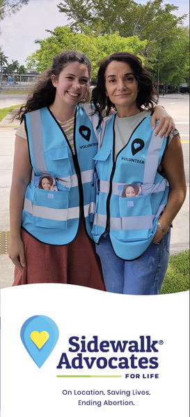 Promo Brochures - Set of 20