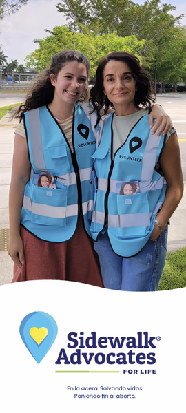 Promo Brochures in Spanish - Set of 20