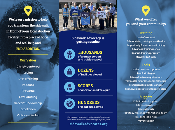 Promo Brochures - Set of 20