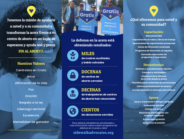 Promo Brochures in Spanish - Set of 20