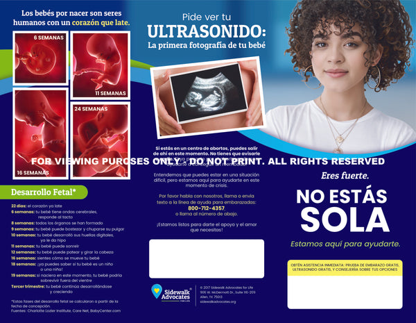 NEW! You Are Not Alone/No Estás Sola (Spanish) - General Pregnancy-Help Brochure (Set of 50)